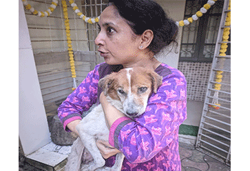 Lost Blind dog reunited with the feeder in Mumbai