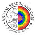 Animal Rescue and Care